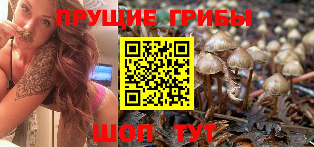 Галлюциногенные грибы Magic Shrooms  Вход с VPN  Кушва 